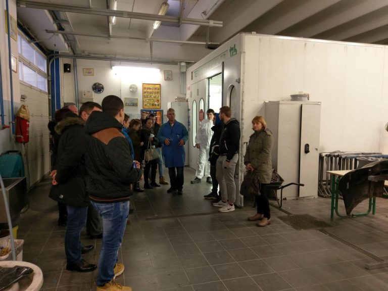 Predstavitev avtomobilskih programov v delavnici.