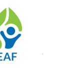 Likovni natečaj LEAF