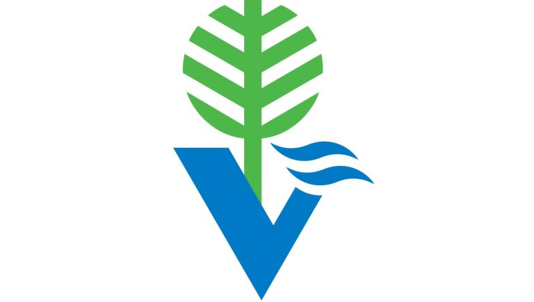 Logotip podjetja VOKA SNAGA.
